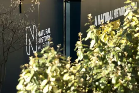 Printed hoarding signage for the Natural History Museum