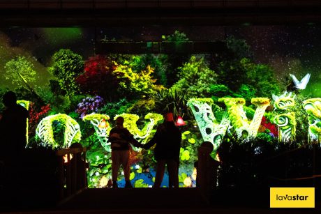Silhouetted figures stand before a vibrant projection of "Love Wins" surrounded by lush greenery